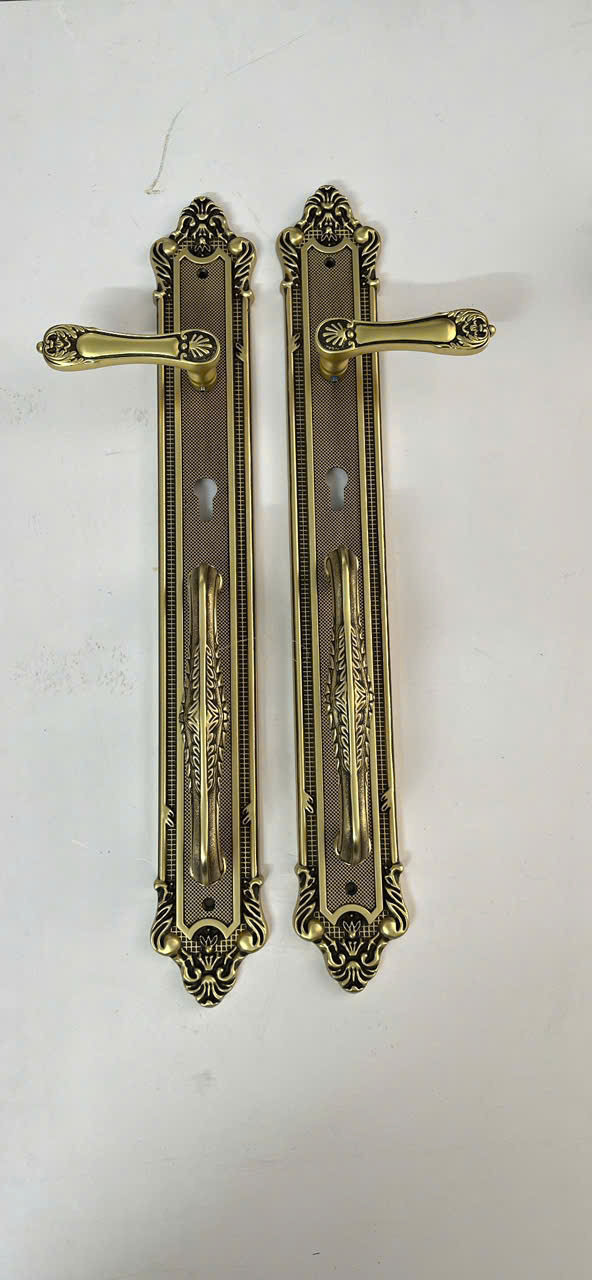 Khóa tay gạt Đồng RB- XL-6025-DSF